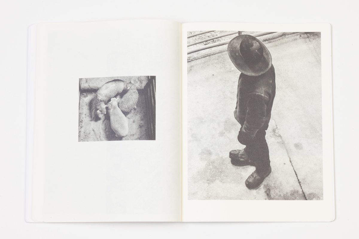 Book Review: Vanessa Winship — Strange Fire